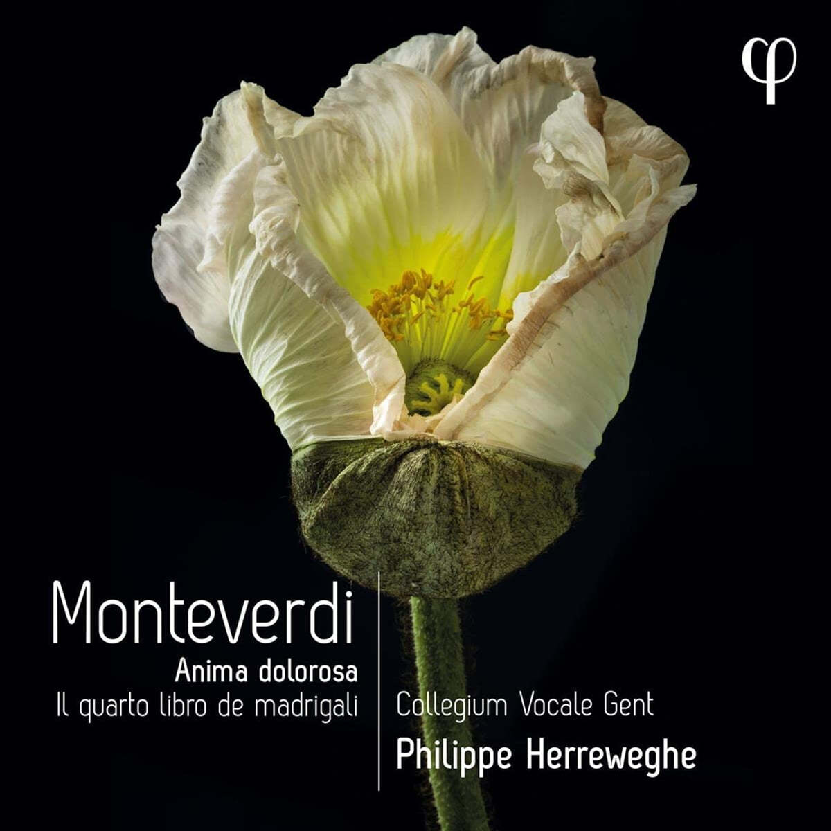 Philippe Herreweghe 몬테베르디: 마드리갈 4권 - 슬픔의 영혼 (Monteverdi: Il Quarto Libro de) 