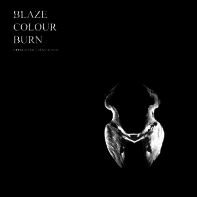 Jan St. Werner — Blaze Colour Burn (Fiepblatter Catalogue #1) 앨범 커버