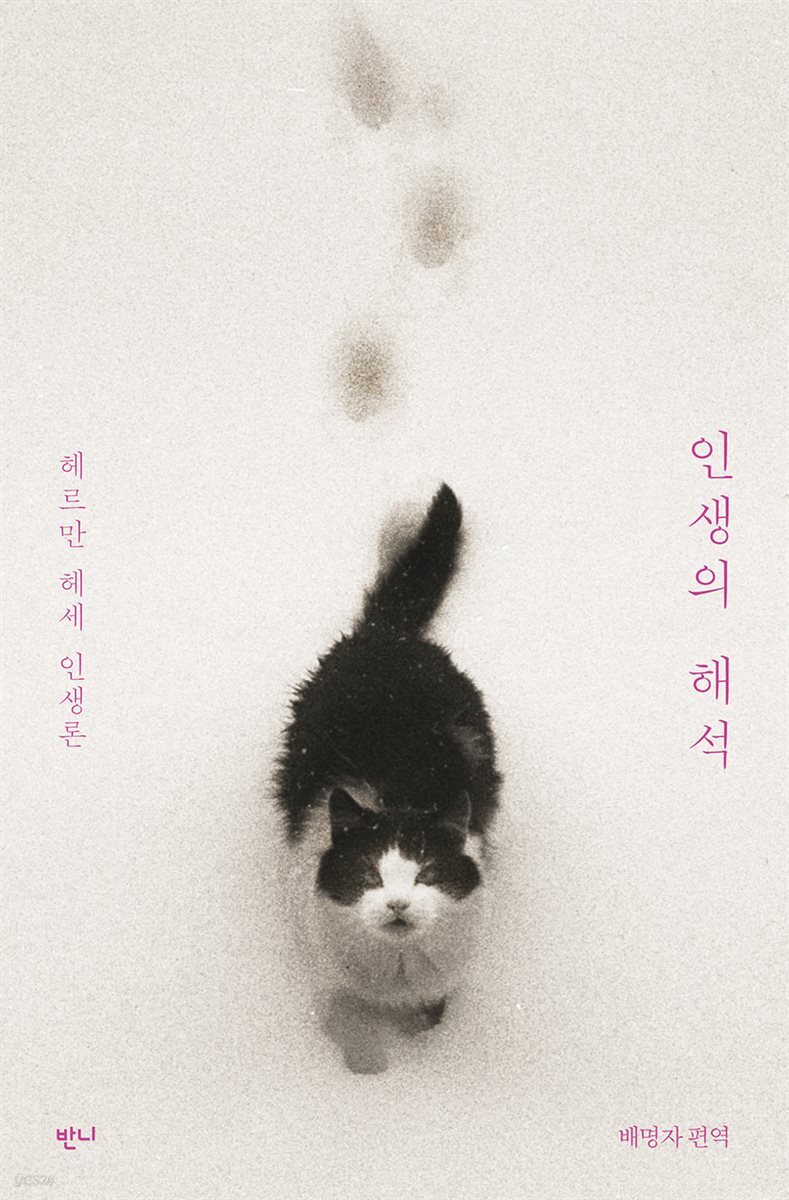 인생의 해석 