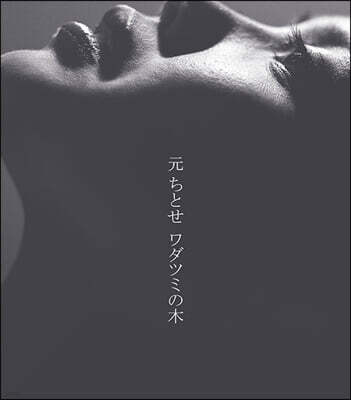 Hajime Chitose — 와다츠미의 나무 앨범 커버