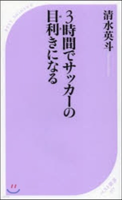 3時間でサッカ-の目利きになる