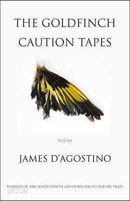 The Goldfinch Caution Tapes