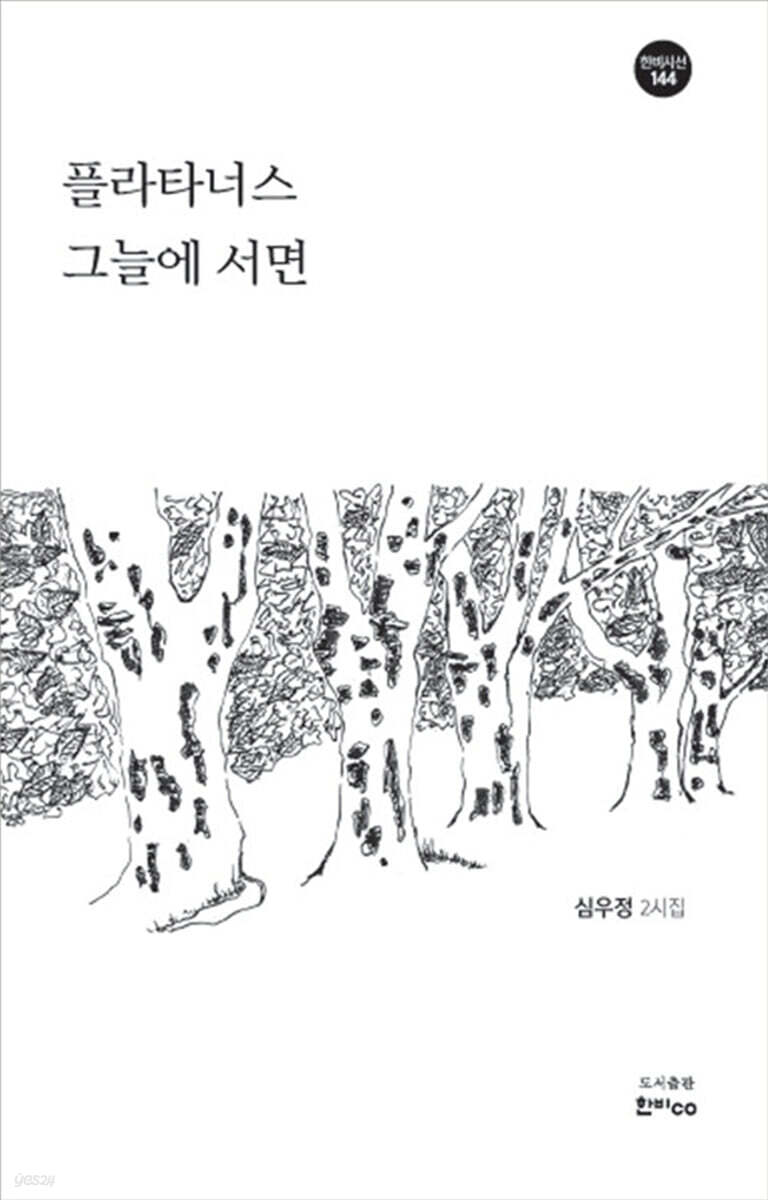 플라타너스 그늘에 서면