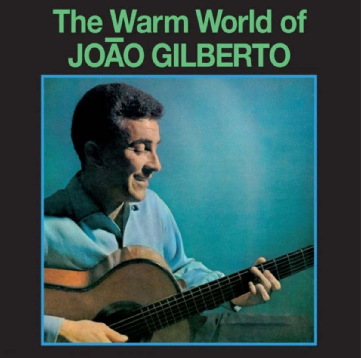 Joao Gilberto (주앙 질베르토) - The Warm World of JOAO GILBERTO [그린 컬러 LP]