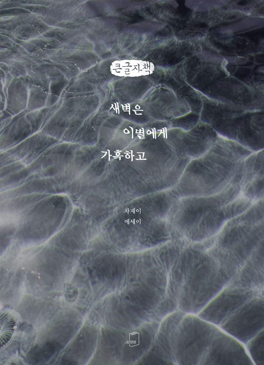 새벽은 이별에게 가혹하고 (큰글자책)