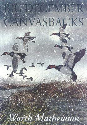 Big December Canvasbacks, Revised (Revised)