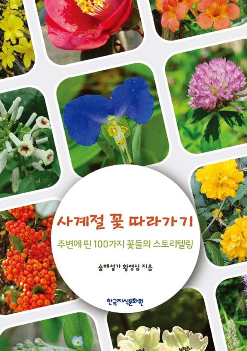 사계절 꽃 따라가기