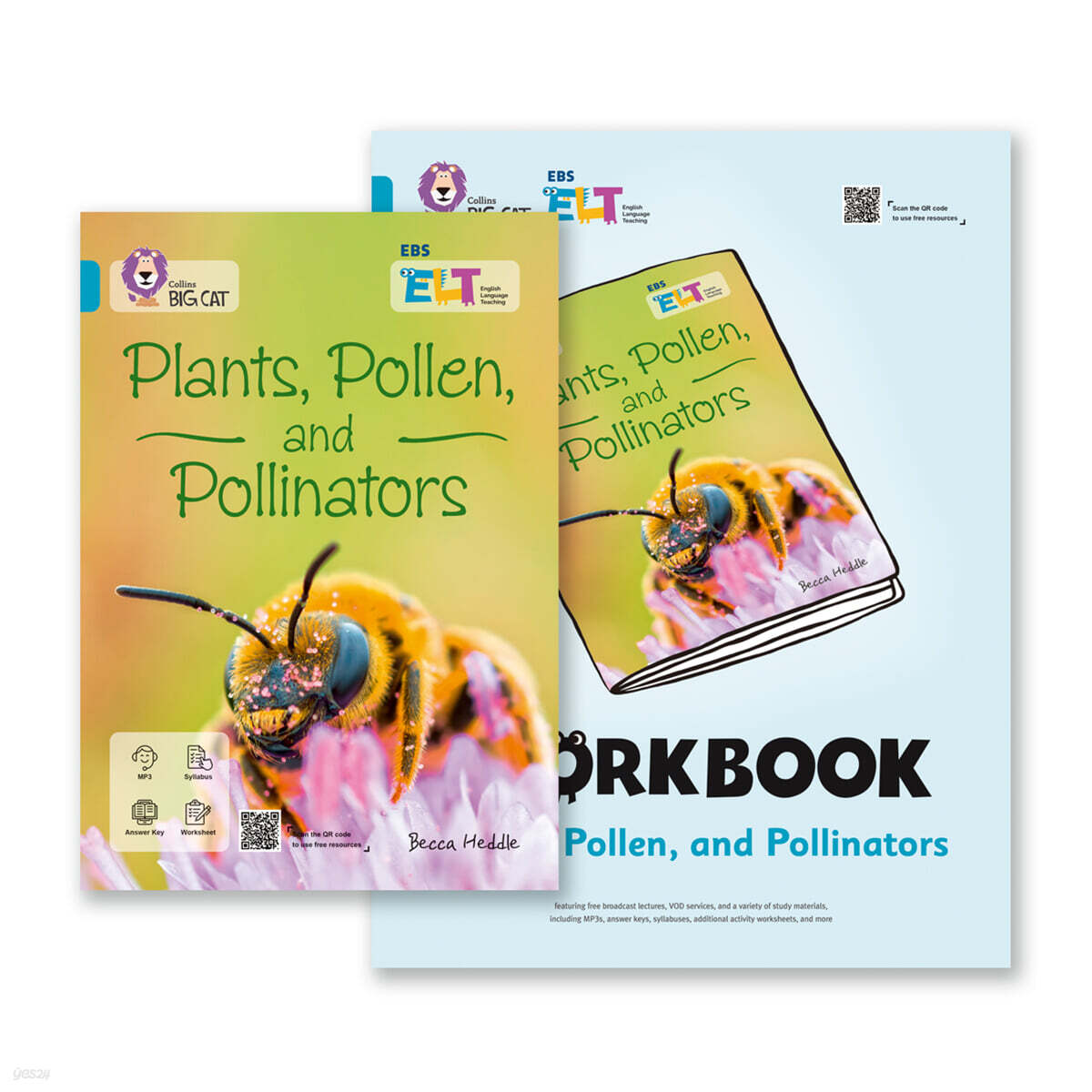 EBS ELT - Big Cat (Band13) PLANTS, POLLEN AND POLLINATORS