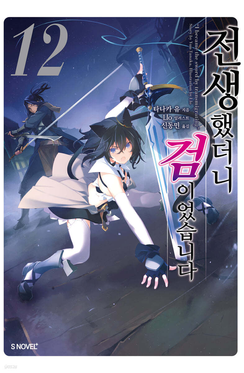 전생했더니 검이었습니다 12