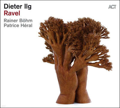 Dieter Ilg Trio — Ravel 앨범 커버