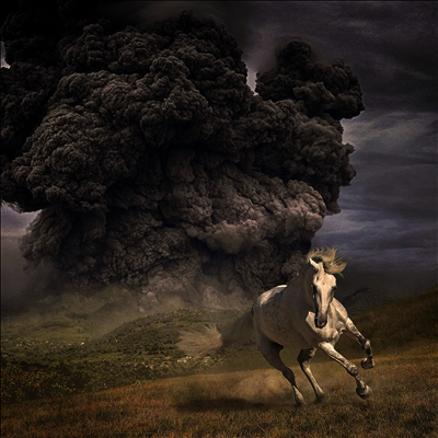 White Buffalo — Year Of The Dark Horse 앨범 커버