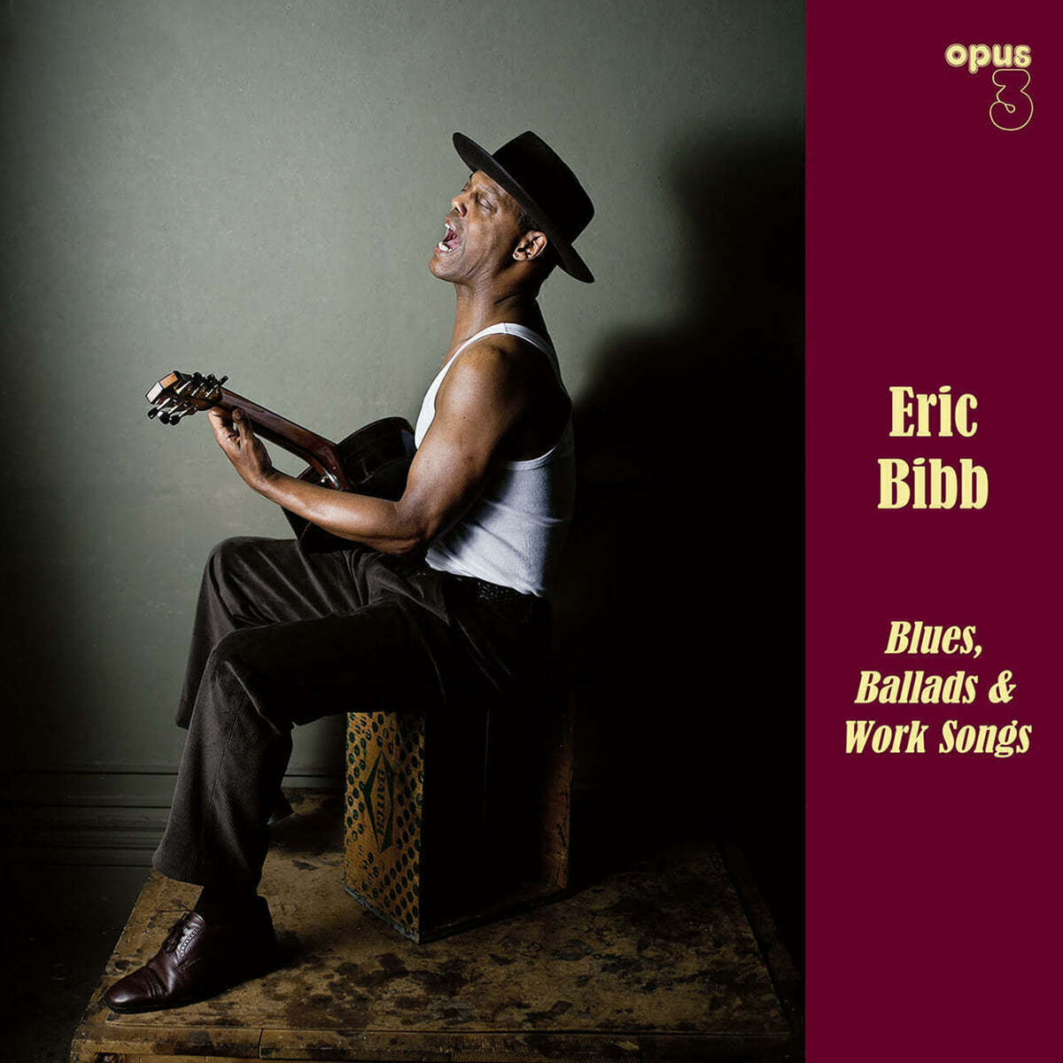 Eric Bibb (에릭 빕) - Blues, Ballads &amp; Work Songs [LP]