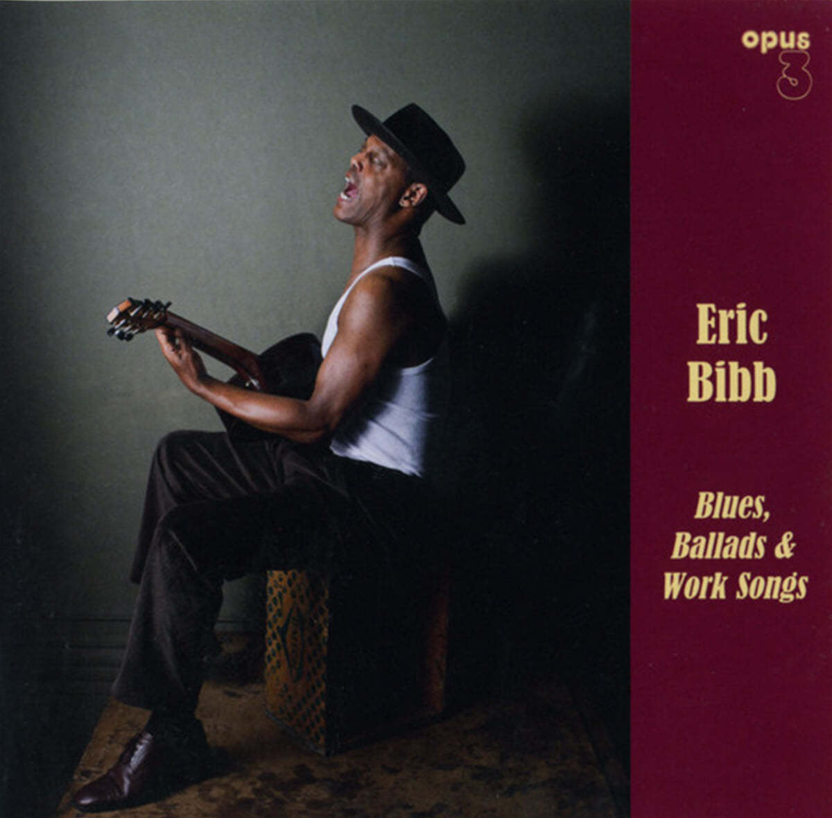 Eric Bibb (에릭 빕) - Blues, Ballads & Work Songs