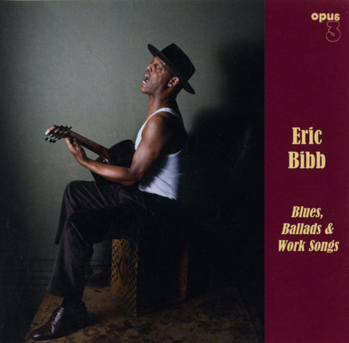 Eric Bibb (에릭 빕) - Blues, Ballads &amp; Work Songs