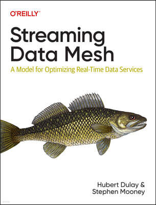 Streaming Data Mesh: A Model for Optimizing Real-Time Data Services