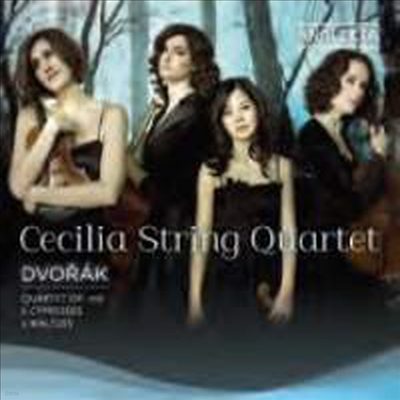 庸:   ǰ (Dvorak: Works for String Quartets)(CD) - Cecilia String Quartet