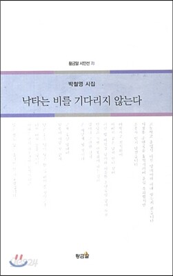 낙타는 비를 기다리지 않는다