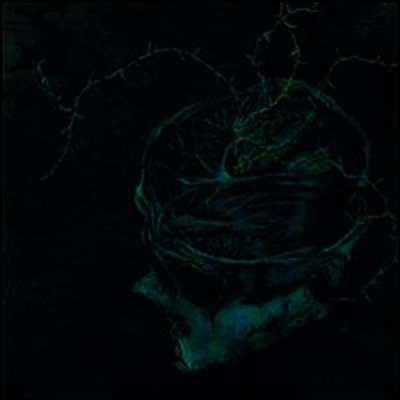 Nachtmystium - Instinct Decay (Ltd. Ed)(180G)(LP)