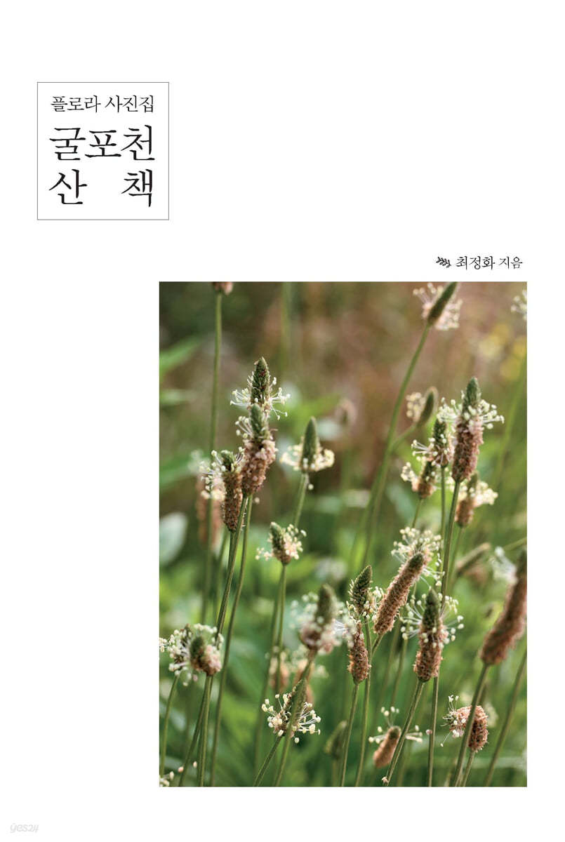 굴포천 산책 (큰글자도서)