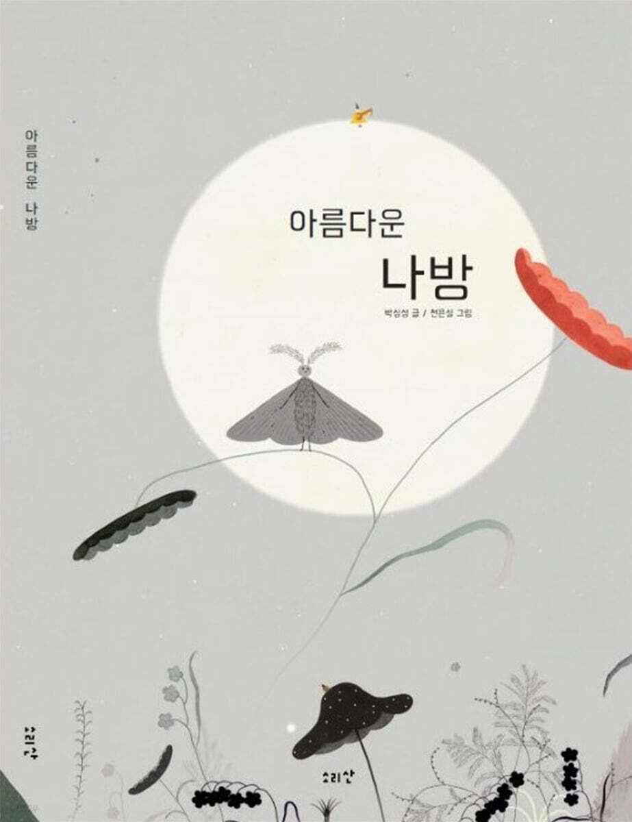 아름다운 나방