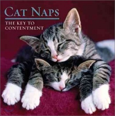 Cat Naps : The Key to Contentment