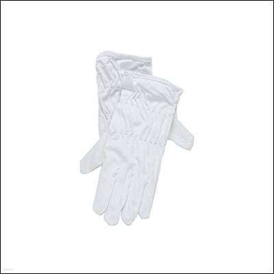 ũ̹ LP 尩 - L (Microfibre Gloves L)
