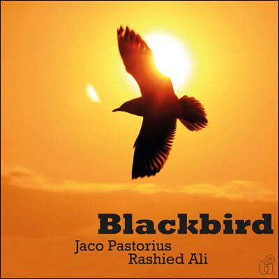 Jaco Pastorius / Rashied Ali ( н丮콺 / õ ˸) - Blackbird [ο ÷ LP]