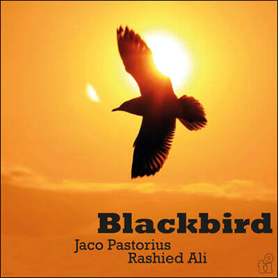 Jaco Pastorius / Rashied Ali — Blackbird 앨범 커버
