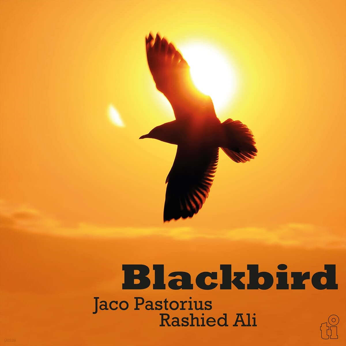 Jaco Pastorius / Rashied Ali (자코 패스토리우스 / 라시드 알리) - Blackbird [옐로우 컬러 LP]