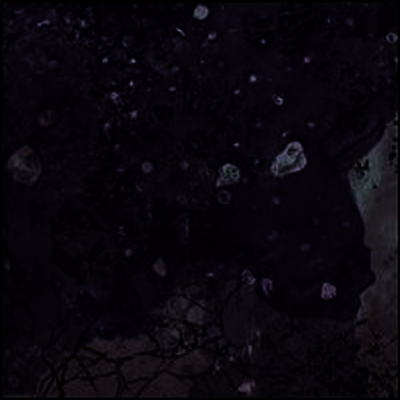 Pinkish Black — Razed To The Ground 앨범 커버