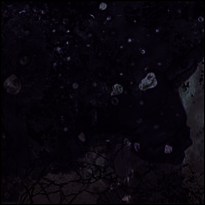 Pinkish Black - Razed To The Ground (LP)