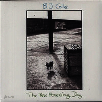 BJ Cole - New Hovering Dog (LP)