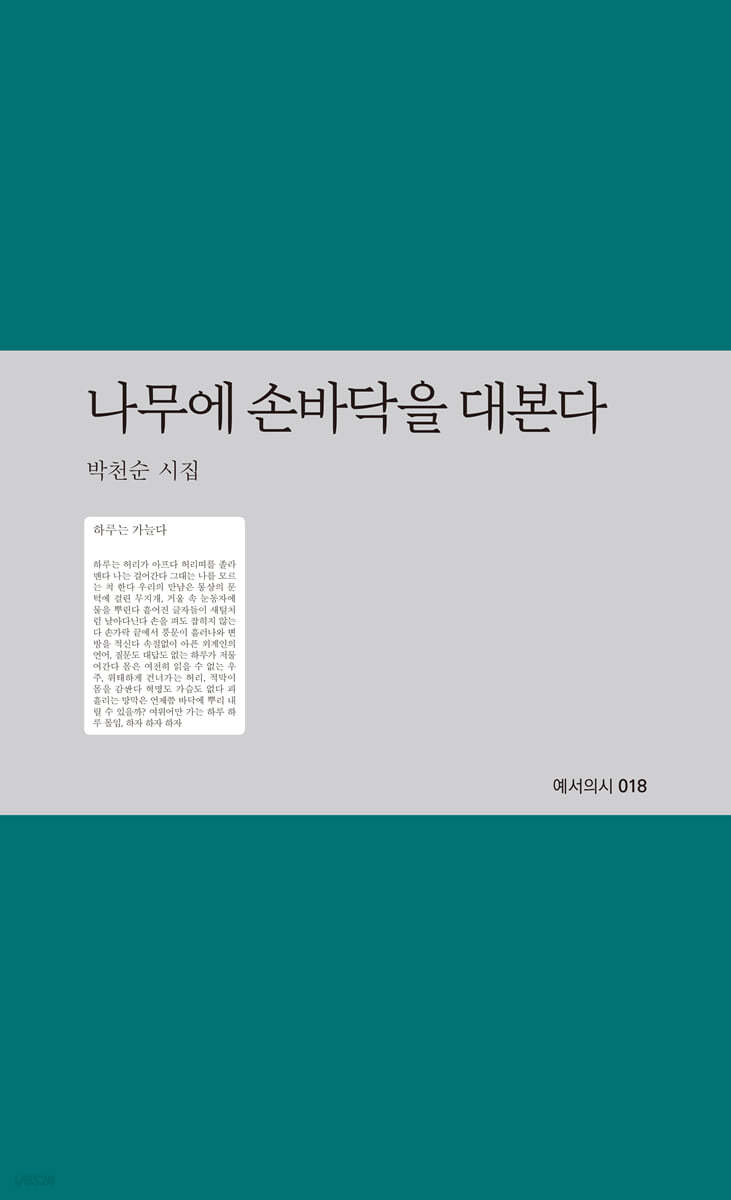 나무에 손바닥을 대본다