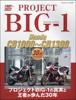 PROJECT BIG-1 Honda CB1000?CB1300 30th Anniversary