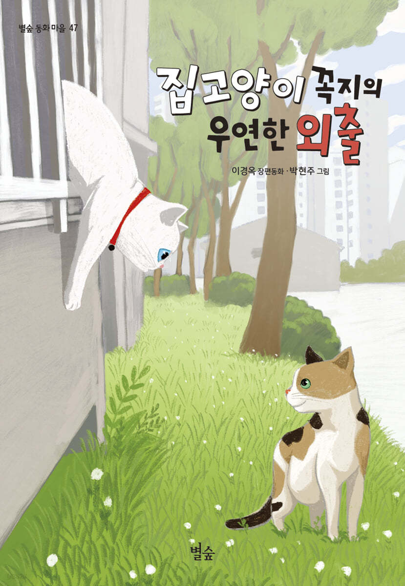 집고양이 꼭지의 우연한 외출