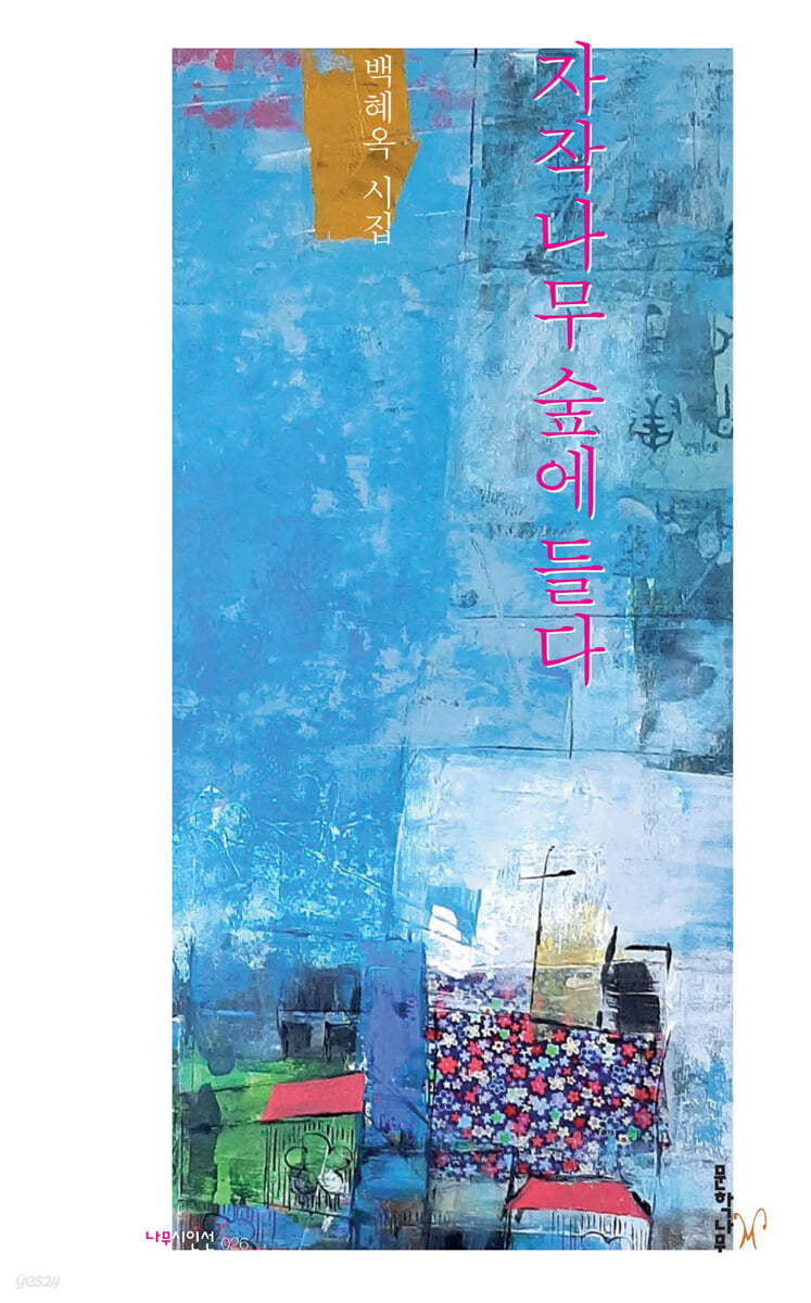 자작나무 숲에 들다