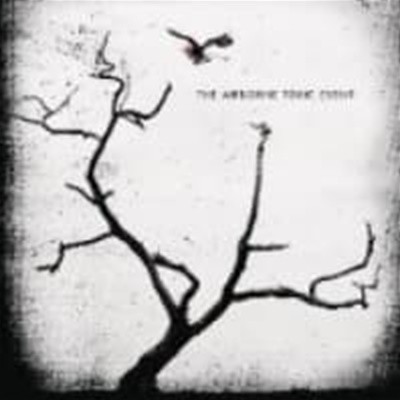 Airborne Toxic Event / The Airborne Toxic Event (수입)