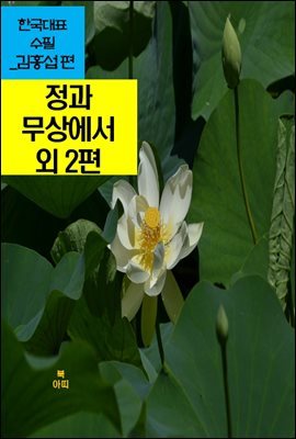 정과 무상에서 외 2편_한국대표수필-김홍섭편