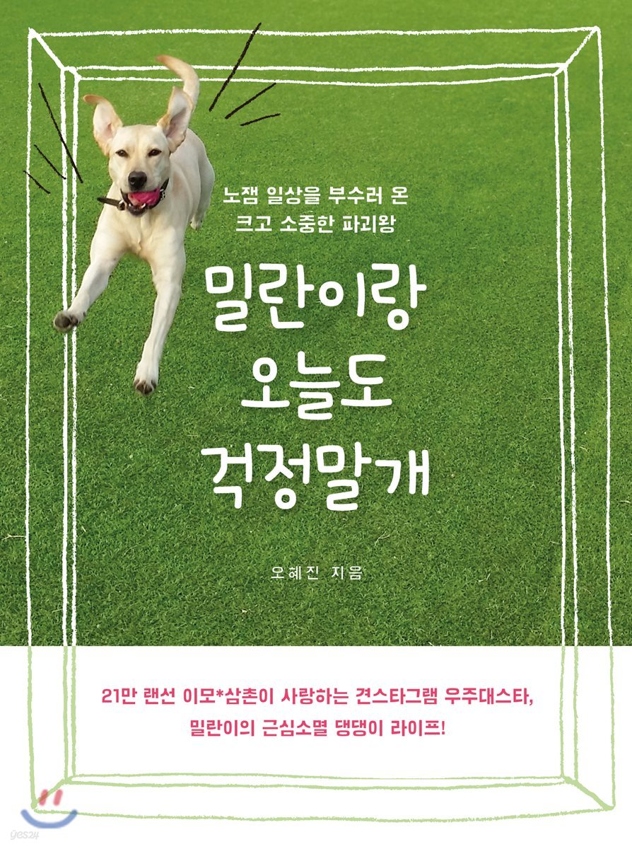 밀란이랑 오늘도 걱정말개