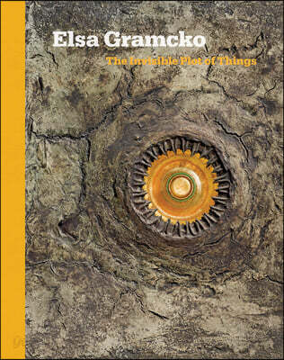 Elsa Gramcko: The Invisible Plot of Things