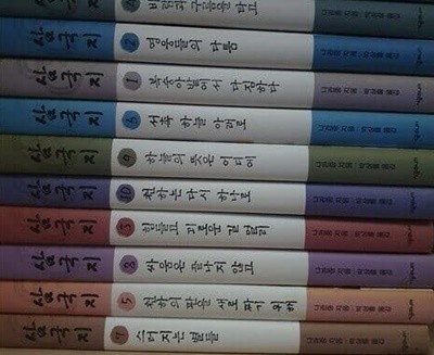 시공주니어 완역 삼국지 세트 - 10대를 위한 완역 삼국지 1~10권 세트 나관중 (지은이), 박상률 (옮긴이) 시공주니어 | 2009년 01월