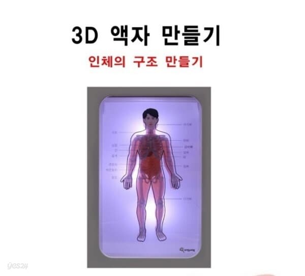 프로 3D 액자 만들기 (인체 구조)