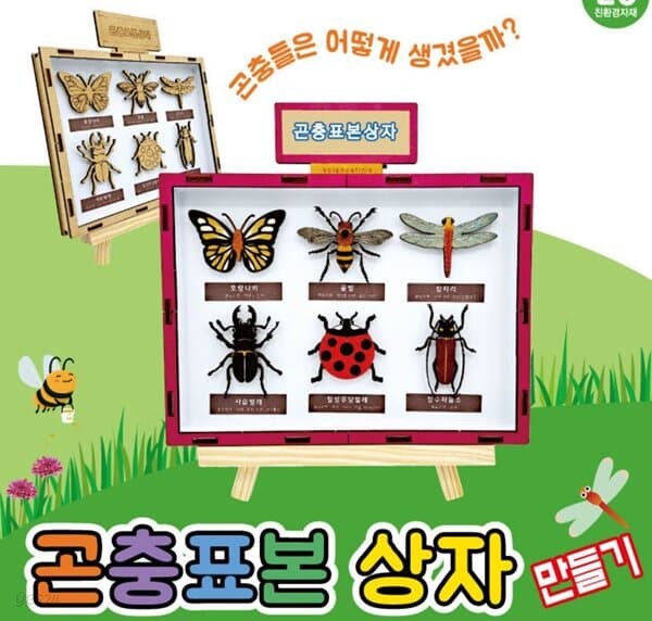 프로 곤충 표본 상자 만들기학습용 브로마이드 제공