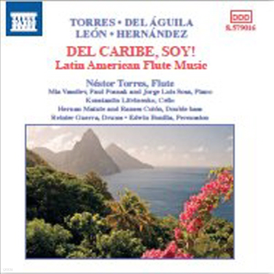 ƾƸ޸ī ÷Ʈ ǰ (Del Caribe, Soy! - Latin American Flute Music)(CD) - Nestor Torres