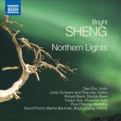Ʈ : ϱر (Bright Sheng: Northern Lights)(CD) - Dan Zhu