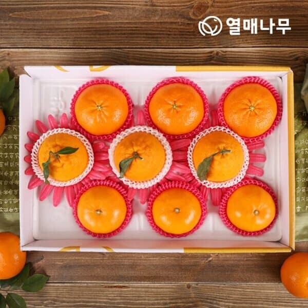 [열매나무]행복담은 제주세트 2호[한라봉3과+천혜향3과+레드향3과] 3kg - 예스24