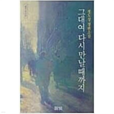 그대여 다시 만날때까지 **1991년 (정도상 장편소설)