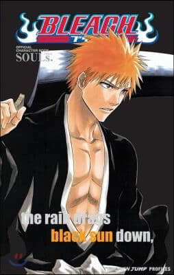Bleach: Souls. Official Character Book [With Stickers]