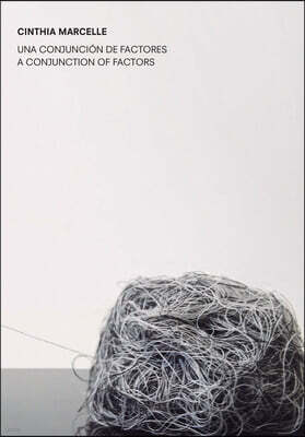 Turner Cinthia Marcelle: A Conjunction of Factors