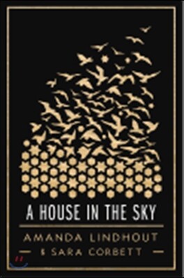 A House in the Sky